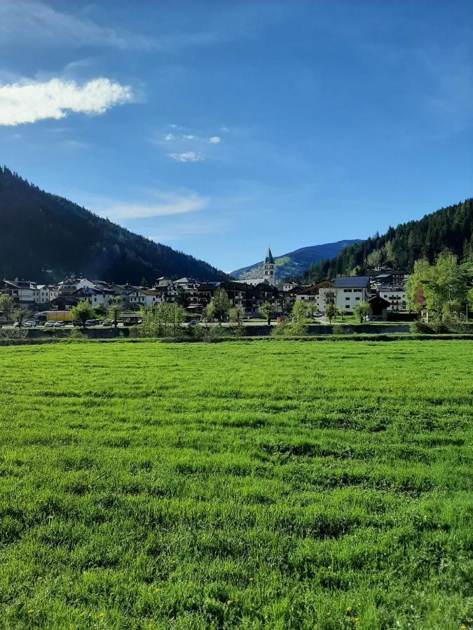 Hirsch Haus Apartment Santo Stefano Di Cadore Bagian luar foto